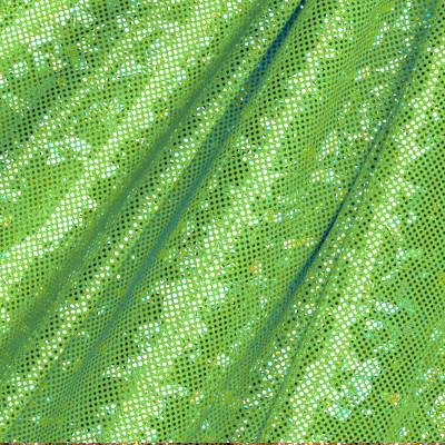 Kód: 36116  holografikus lycra